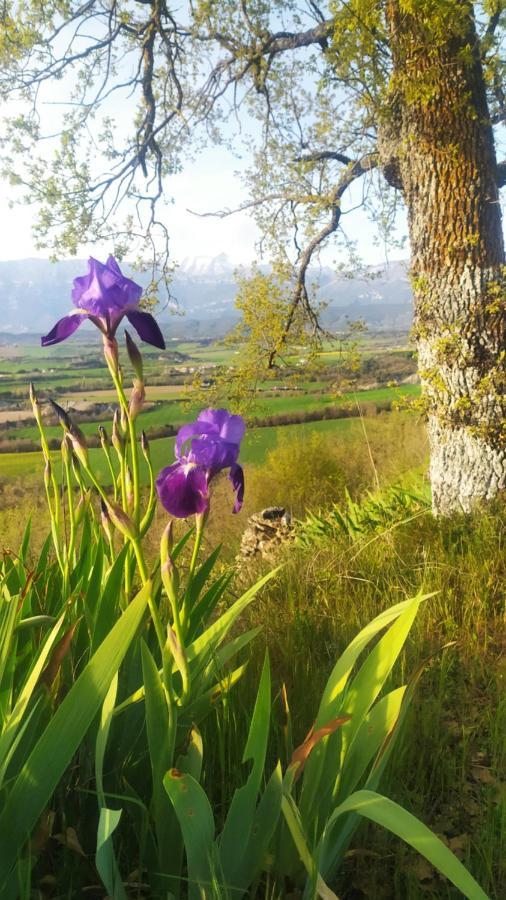 Casa Rural Tejedor Morillo de Monclus Zewnętrze zdjęcie